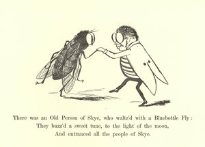 Es war eine alte Person von Skye, die mit einer Schmeißfliege walzte