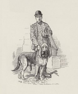Illustration für Die Wasserkinder von Charles Kingsley von Edward Linley (after) Sambourne
