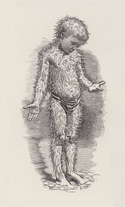 Illustration für Die Wasserkinder von Charles Kingsley von Edward Linley (after) Sambourne