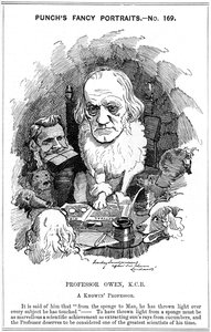 Richard Owen, englischer Zoologe