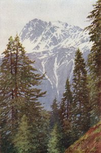 Kotwal aus dem Wald über Kangan, Sind-Tal von Edward Mary Joseph Molyneux