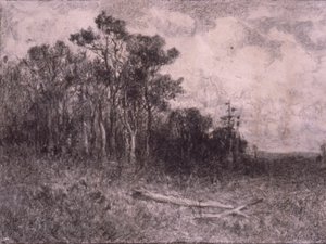 Landschaft, Waldszene von Edward Mitchell Bannister