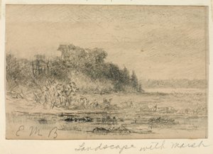 Landschaft mit Sumpf von Edward Mitchell Bannister