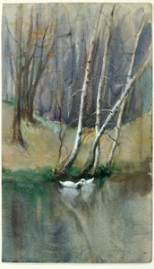 Ohne Titel (Waldszene mit Birken und Enten)