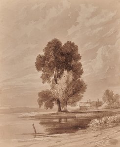 Landschaft mit Bäumen