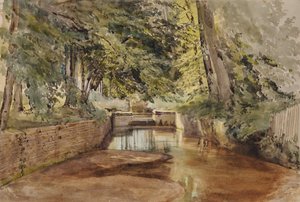 Flussszene mit halb trockenem Flussbett