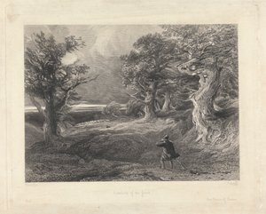 Am Rande des Waldes von Edward Radclyffe
