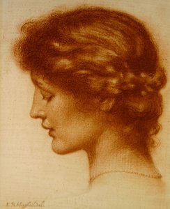 Porträt von Rosalind