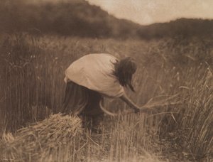 Der Apache-Schnitter von Edward S. Curtis
