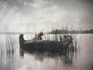 Der Schilfsammler, Montana von Edward Sheriff Curtis
