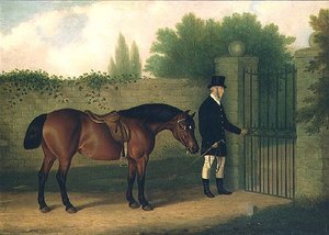 Pferd und Stallbursche