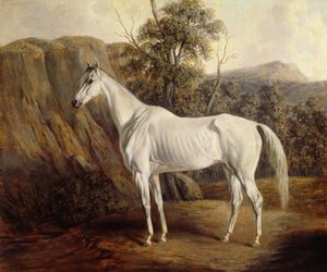 Bolivien, 1836