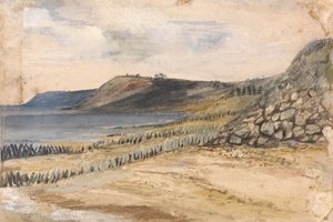 Shepy Bay, Shearness, England