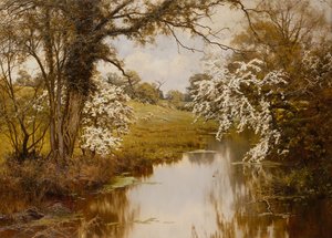 Wo sich breitblättrige Weißdorne fröhlich entfalten von Edward Wilkins Waite