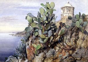 Kaktus Opuntia, Monaco von Edward William Cooke