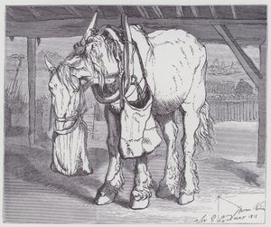 Ein Kaltblutpferd von Edwin (after) Landseer