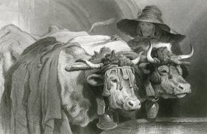 Ochsen am Tank, Genf (Gravur) von Edwin (after) Landseer