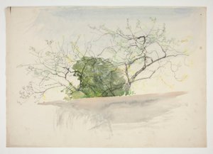 Landschaft mit Bäumen