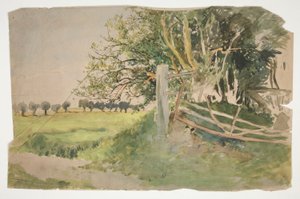 Landschaft mit Bäumen und kaputtem Zaun