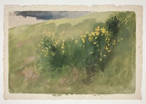 Landschaft mit Wildblumen