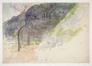 Berglandschaft mit sprießenden Bäumen