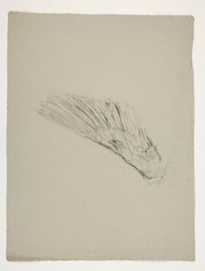 Studie eines Flügels für die Kindheit von Galahad, aus der Suche nach dem Heiligen Gral (eine Serie von fünfzehn Gemälden für die Boston Public Library, abgeschlossen 1901) von Edwin Austin Abbey