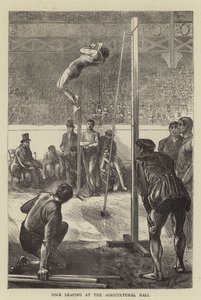 Stabhochsprung in der Agricultural Hall von Edwin Buckman