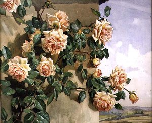 Rosen an einer Wand