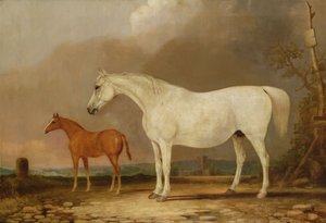 Unbekanntes Bild von Edwin Cooper