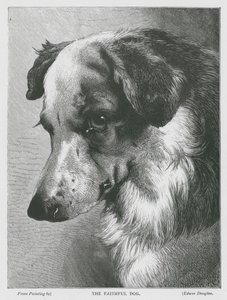 Der treue Hund (Gravur) von Edwin Douglas