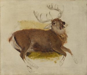 Sterbender Hirsch, ca. 1830 von Edwin Landseer