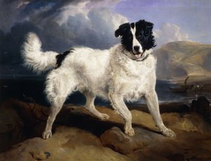 Porträt von Neptun, 1824