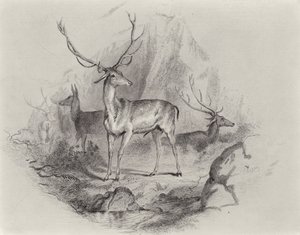 Im Tal von Edwin Landseer