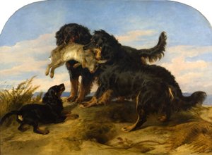 Retriever mit einem Hasen, ca. 1870
