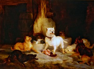 Der König der Burg