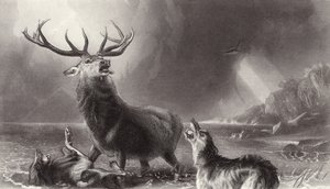 Der Hirsch in der Enge von Edwin Landseer