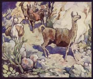Lamas in den Anden (Farblithografie)