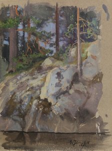 Klippe von Eero Järnefelt