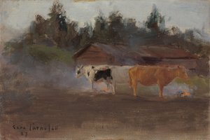 Kühe im Torfrauch, Studie
