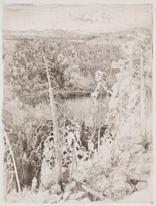 Landschaft von Koli; Waldlandschaft von Räsävaara