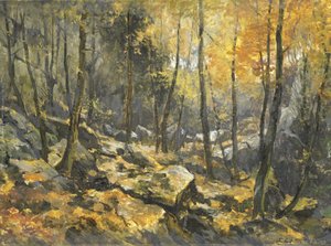 Felsenmeer von Egbert Schaap