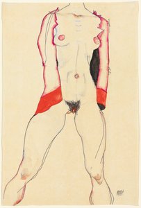 Weiblicher Torso