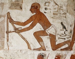 Ein Handwerker nimmt Maß für den Bau einer Wand, Detail des Freskos, das das Grab von Rekhmire, Gouverneur von Theben und Wesir während der Herrschaft der Pharaonen Thutmes III und Amenophis II (18. Dynastie 1500 bis 1292 v. Chr.), Grab (TT100), Tal von Egyptian 18th Dynasty