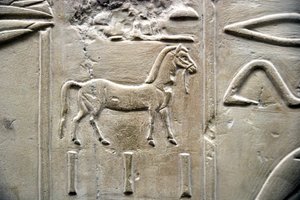 Ägyptische Antiquität: Darstellung eines Pferdes. Flachrelief aus dem Grab des Wesirs Ramose (18. Dynastie). Luxor, Theben, Tal der Adligen Ägypten