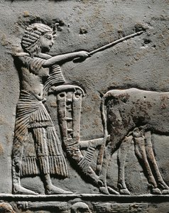 Horemheb pflügt Land in den Feldern von Iaru, Relief aus dem Grab von Horemheb in Saqqara (Detail) von Egyptian 18th Dynasty