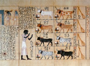 Papyrus, der Ochsen darstellt, aus dem Totenbuch des Maiherperi