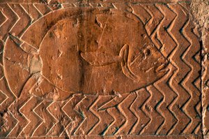 Darstellung von Fischen, Szenen des Königreichs Punt, Südwand der zentralen Kolonnade, Totentempel von Hatschepsut, Deir el-Bahari, Luxor, Theben (UNESCO-Welterbeliste) von Egyptian 18th Dynasty