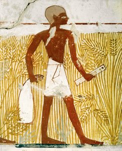 Schreiber mit Schilfrohrstiftkasten misst Getreide