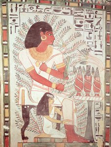 Sennefer sitzt mit seiner Frau Meryt, aus dem Grab von Sennefer, Neues Reich (Wandmalerei) von Egyptian 18th Dynasty