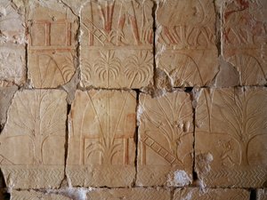 Vegetation, Detail der Szene, die die Expedition ins Land Punt darstellt, bemaltes Relief, Kolonnade von Punt, Totentempel der Hatschepsut, Deir el-Bahari, Thebanische Nekropole (Unesco-Welterbeliste)